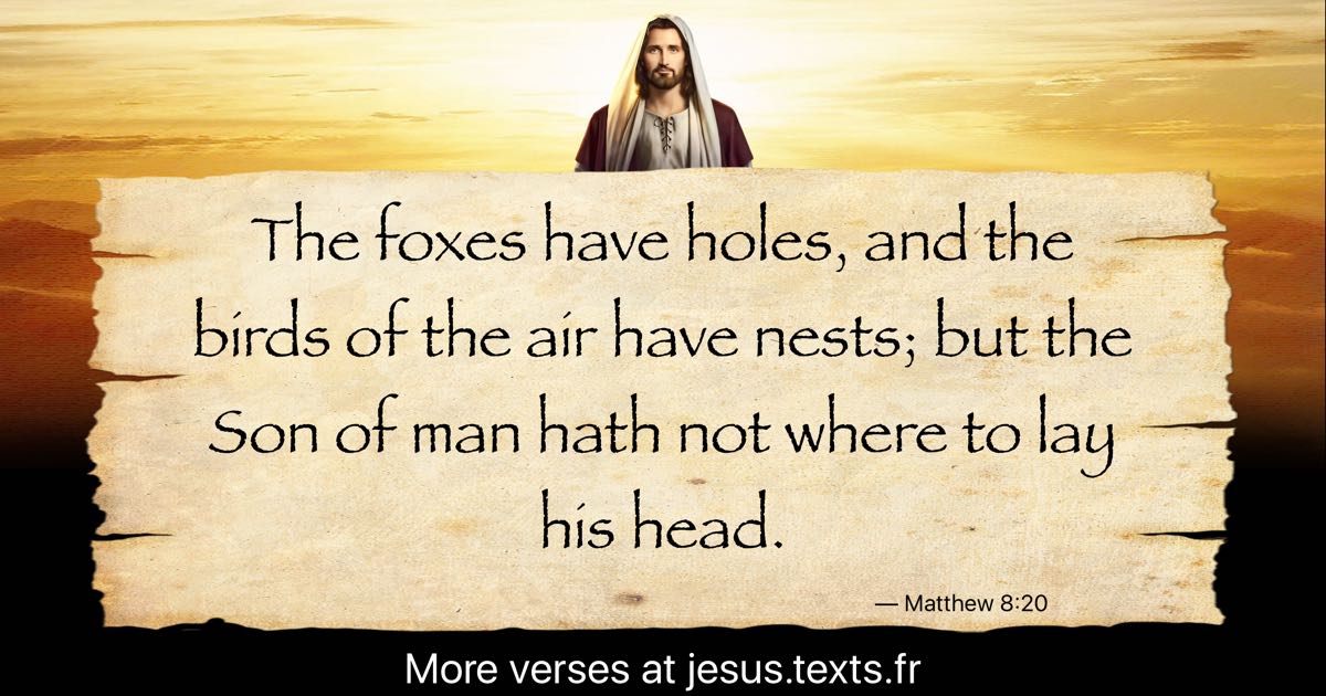 A quote from Jesus Christ: “The foxes have holes, and the birds of the