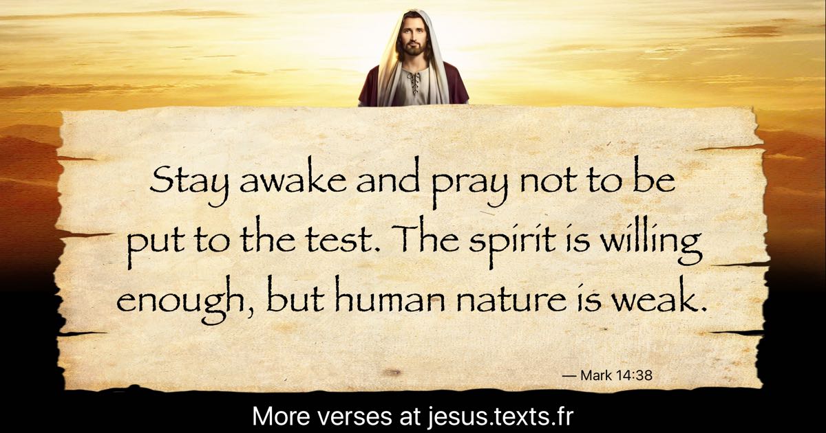 A quote from Modern Jesus: “Stay awake and pray not to be put to the test.”